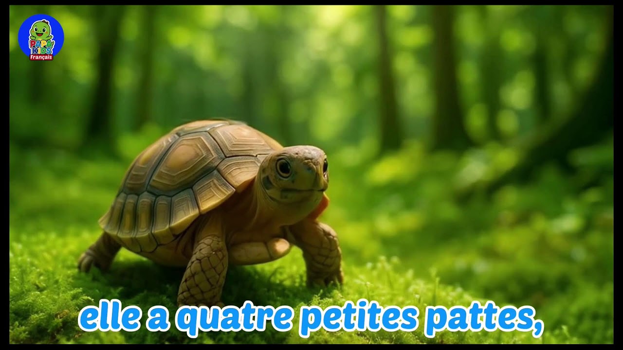 Chansons pour enfants - Mélodies joyeuses adorées par les petits pleines de joie #vidéospourenfants