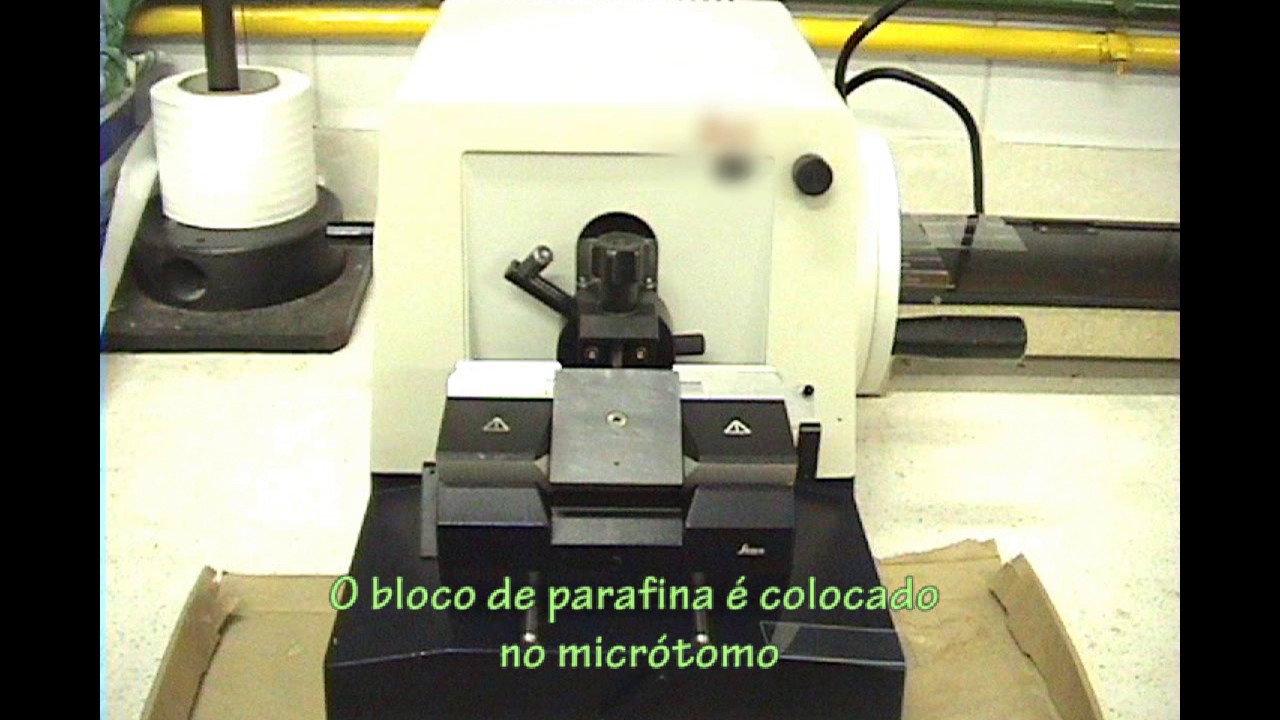 Preparação de lâminas para histologia animal