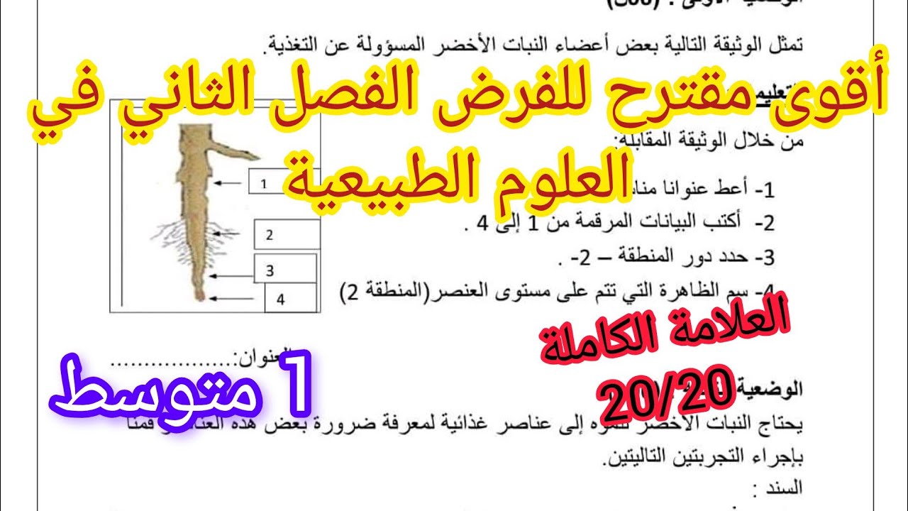 فرض الفصل الثاني المقترح في مادة العلوم السنة الأولى متوسط 2025