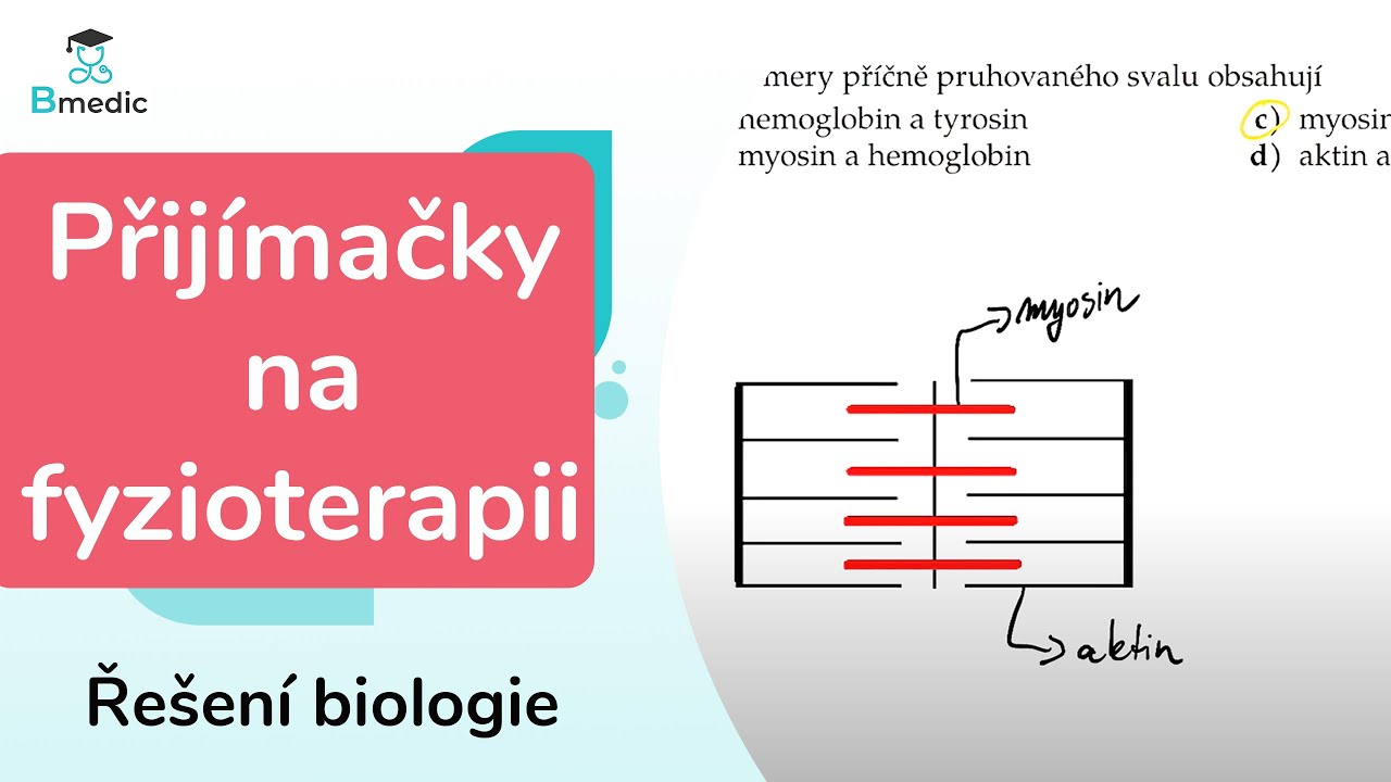 Jak vypadá test na fyzioterapii? Řešení biologie (FSPS MU Brno)