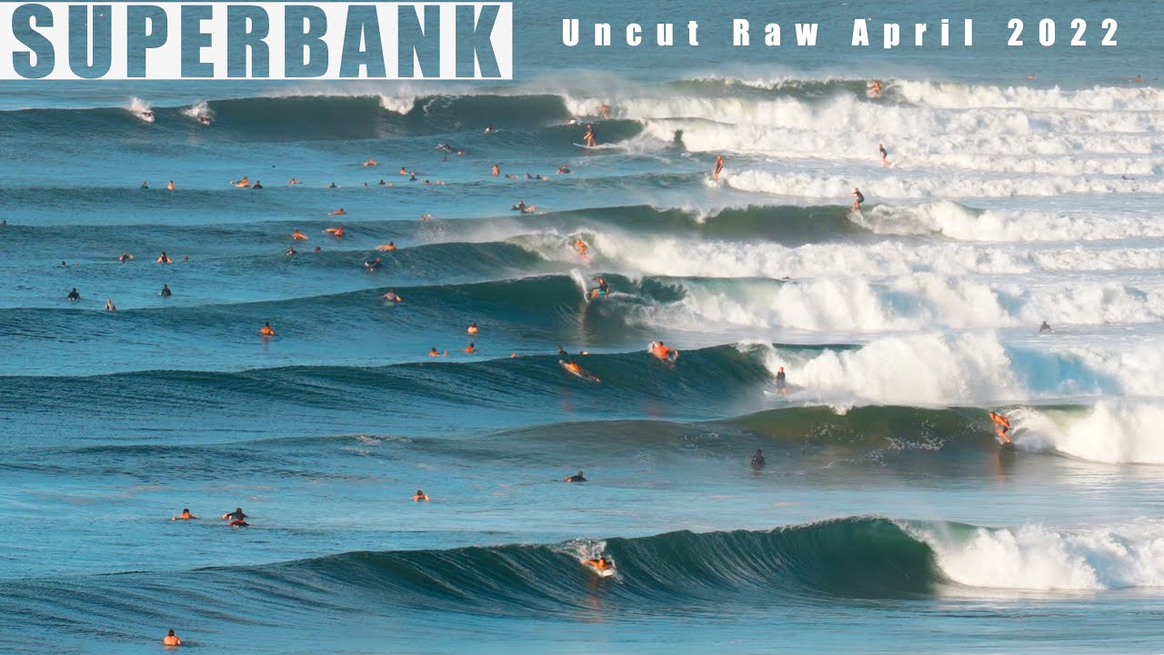 Real Uncut Raw Whole Point Surfing Snapper to Greenmount April 2022