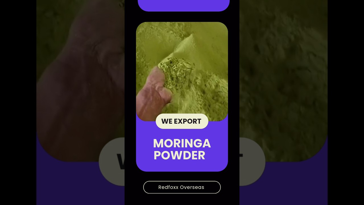 Moringa Powder Exporter In India | Moringa Powder Menufacturer | Moringa powder Business ideas 2025