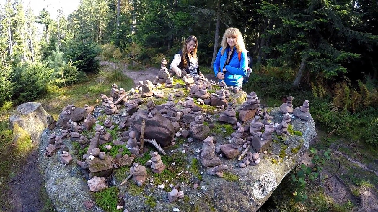 Wanderung in den Vogesen : Auf den Taennchel