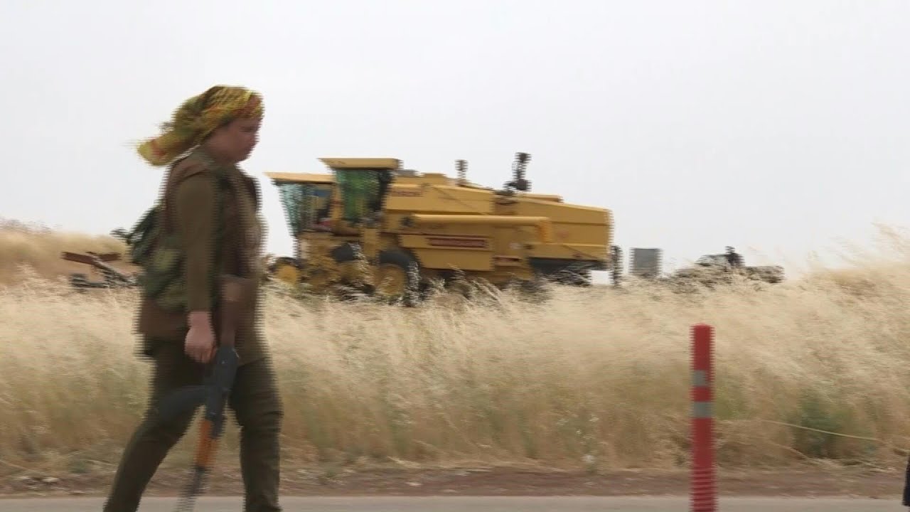 Kurdish female volunteers guard wheat fields against jihadists threat | AFP