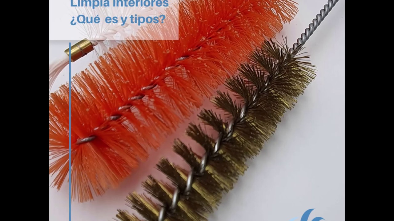 Cepillo Limpia Interiores