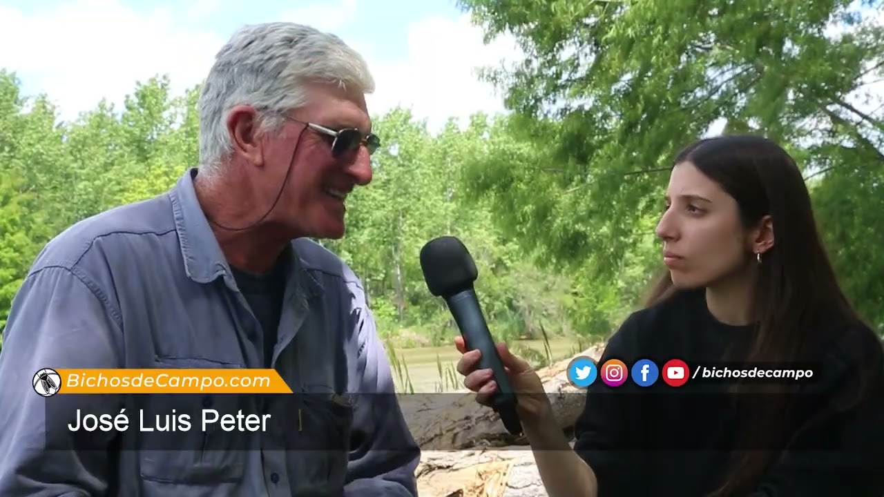 Jos&eacute; Luis Peter, Productor en el Delta entrerriano