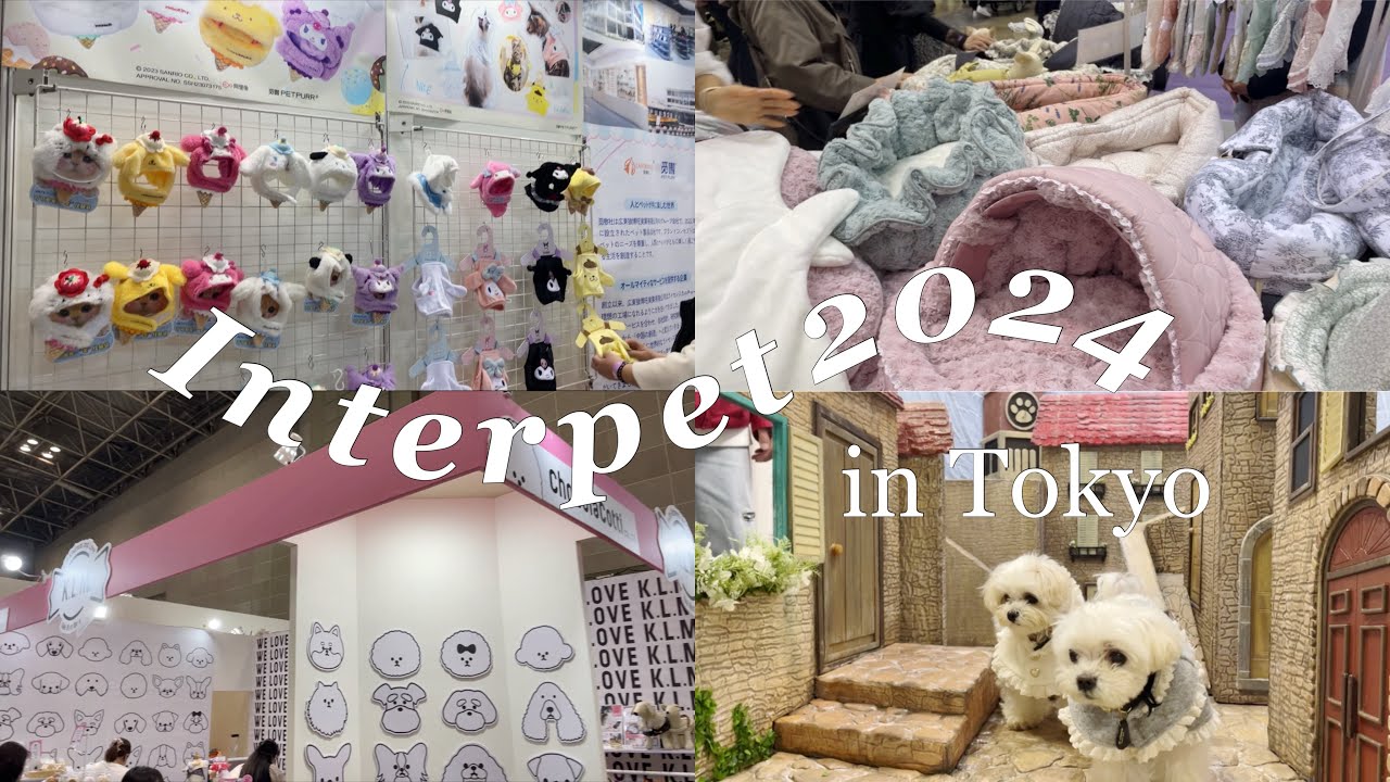 【犬イベント】インターペット2024in東京ビッグサイトに行ってきました！！出展ブース紹介動画！[中編]マルチーズ/マルプー/多頭飼い/犬とお出かけ/犬連れ旅行