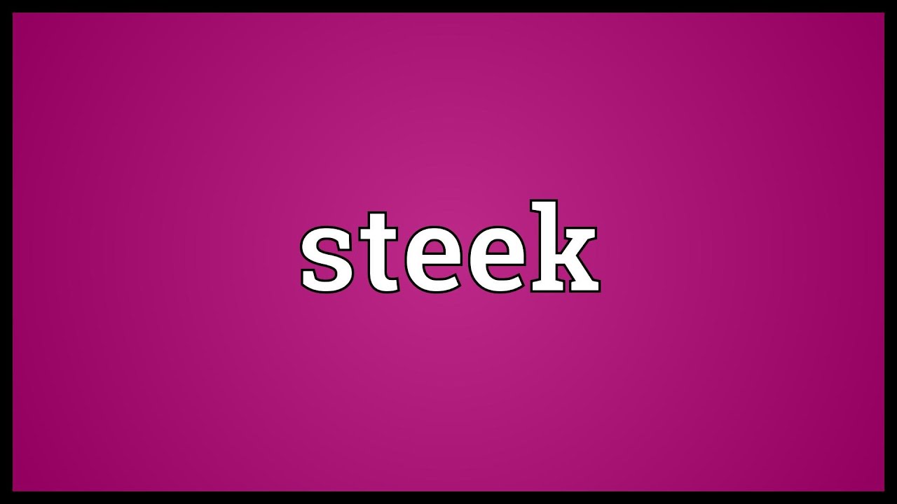 Steek Meaning