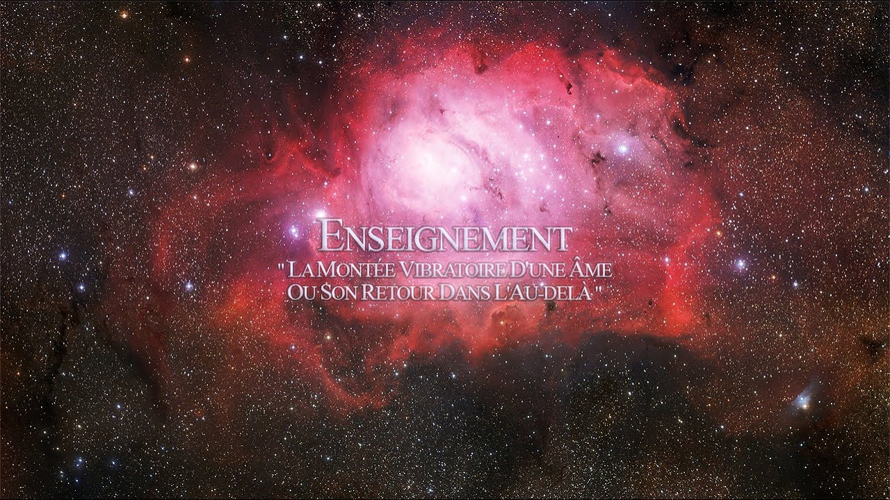 Enseignement 