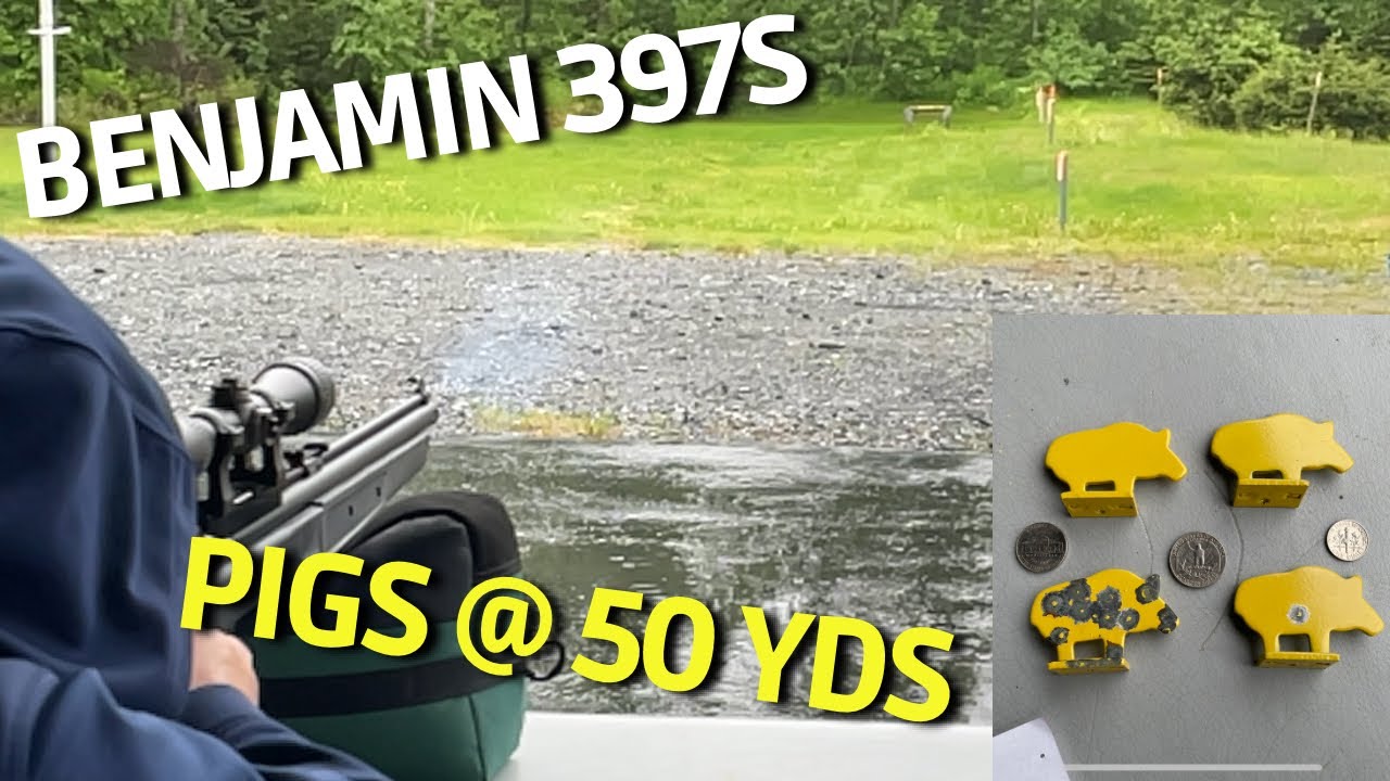 Benjamin 397S - silhouettes @ 50 yds