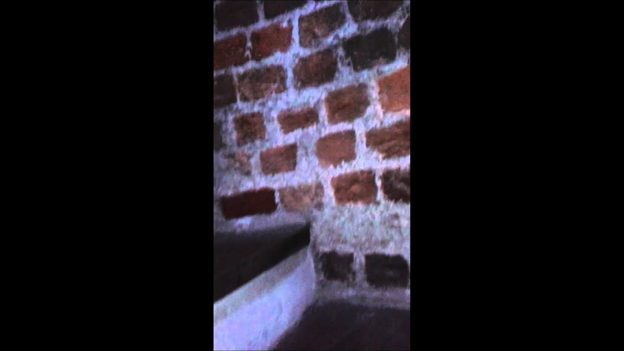 Katedra