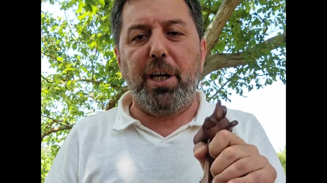 Ali Alim - Daharap