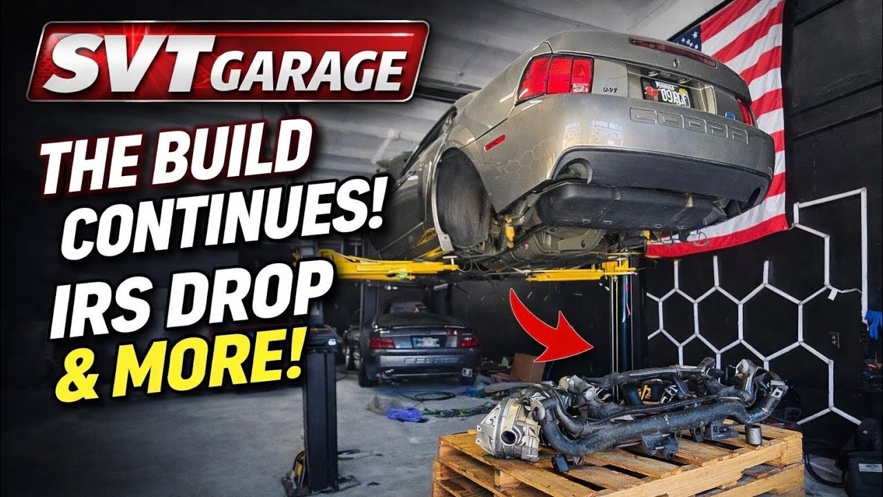 Building the Ultimate Mineral Grey Cobra: IRS Drop & Massive Overhaul