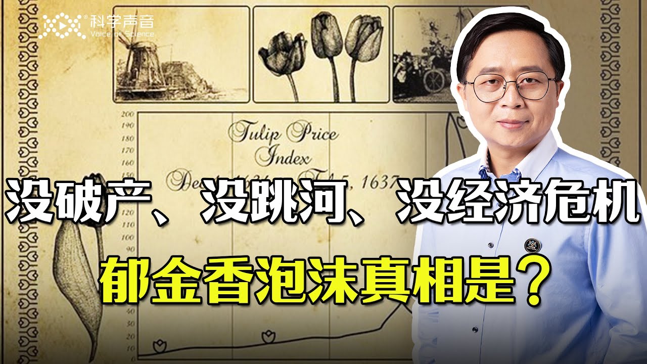 一朵小花真能摧毁一个大国吗？荷兰郁金香狂热的历史真相