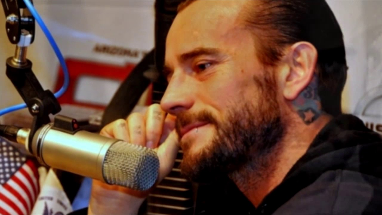 WWE CRACK [AJ Lee/CM Punk Edition]