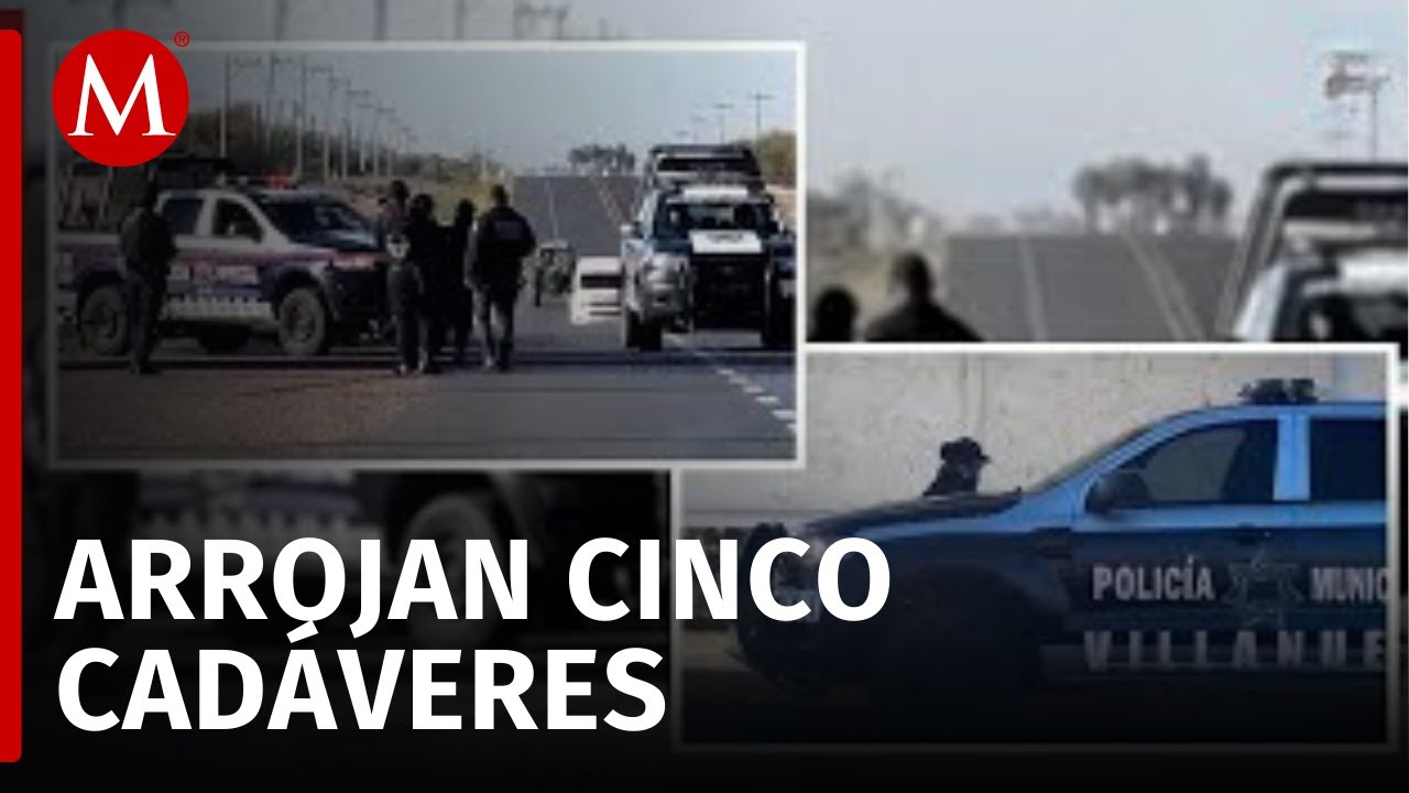 Hallan cinco cuerpos con huellas de violencia en carretera de Zacatecas