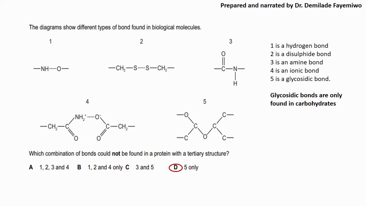 Answering Select CIE Past Questions - Chapters 1 and 2
