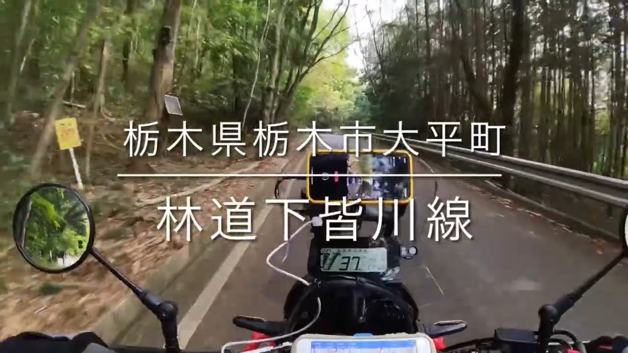 【#01】【舗装路】林道下皆川線(2023/11/03)