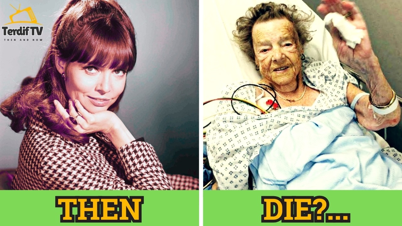36 GET SMART (1965) Actors - Cast Then and Now 2025, Who Passed Away After 60 Years?