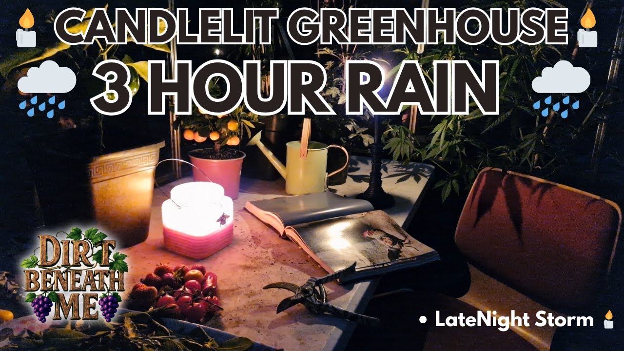 Candlelight Rain in the Greenhouse | 3 Hours of Gentle Rain & Garden Ambience