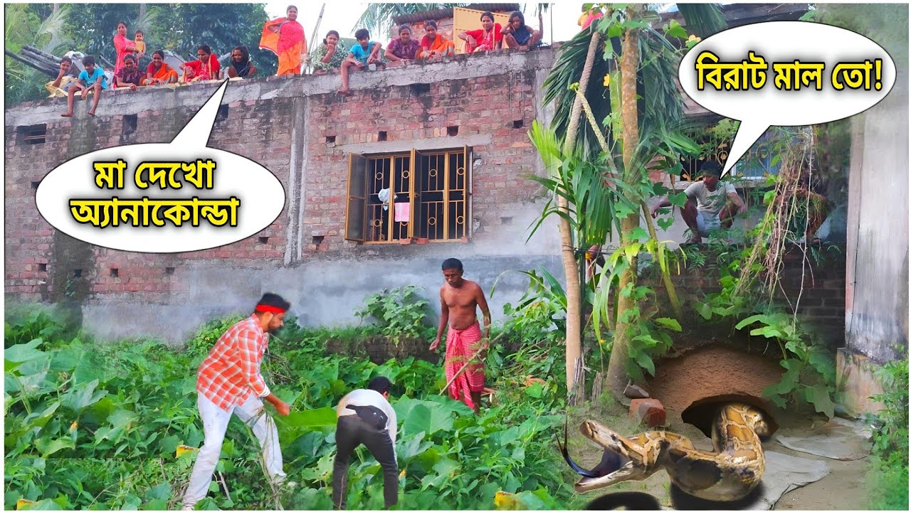 ঝোপ থেকে বেরিয়ে এলো প্রকাণ্ড এক অজগর! Huge Anaconda came out of a Bush #python #snakevideo