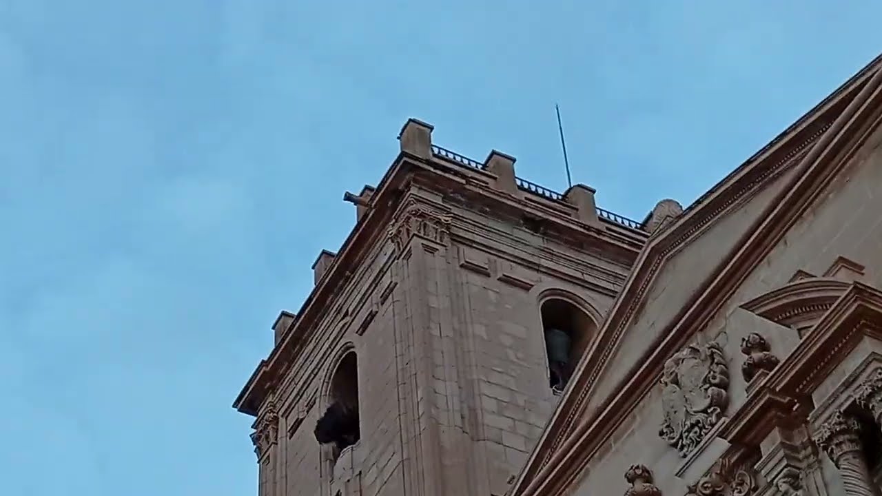 Volteo mientras venía la Virgen y Cantó