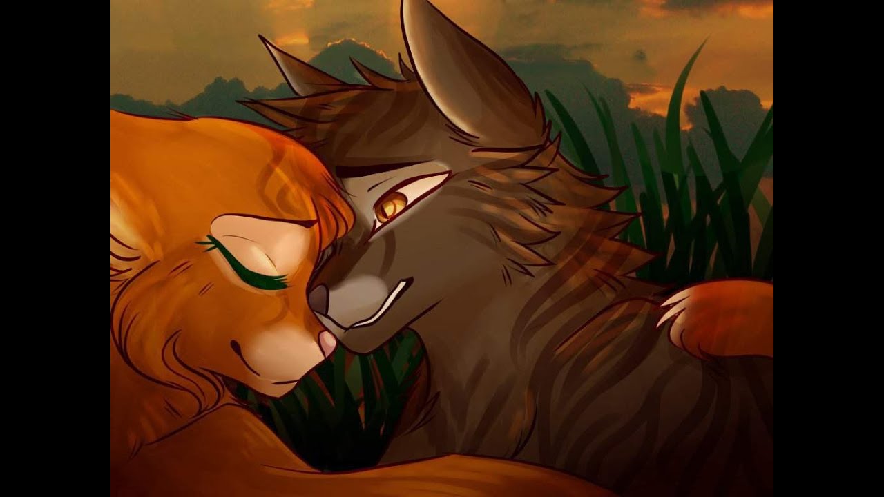 [Remake]~Señorita~Warrior cat~[AMV]