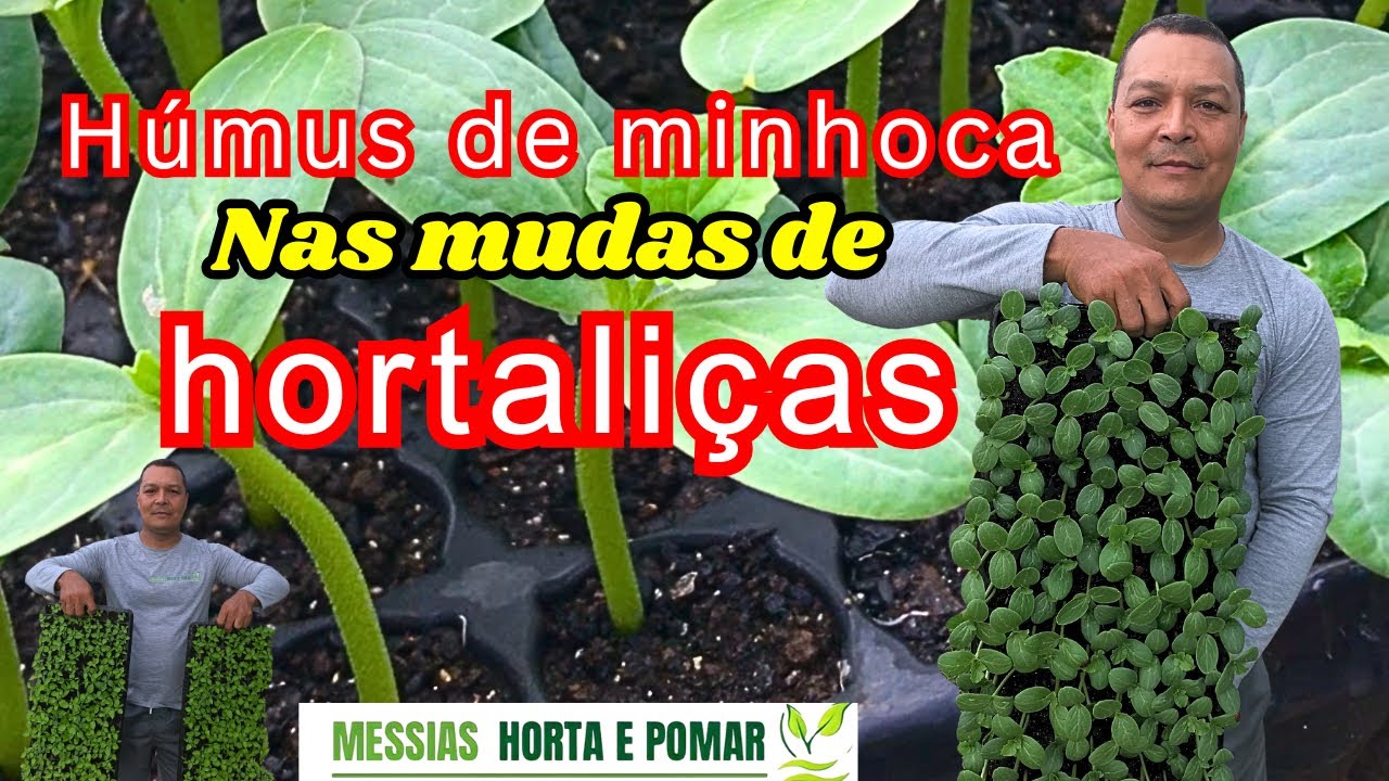 Húmus de Minhoca, Será que posso usar para produzir mudas 🤔