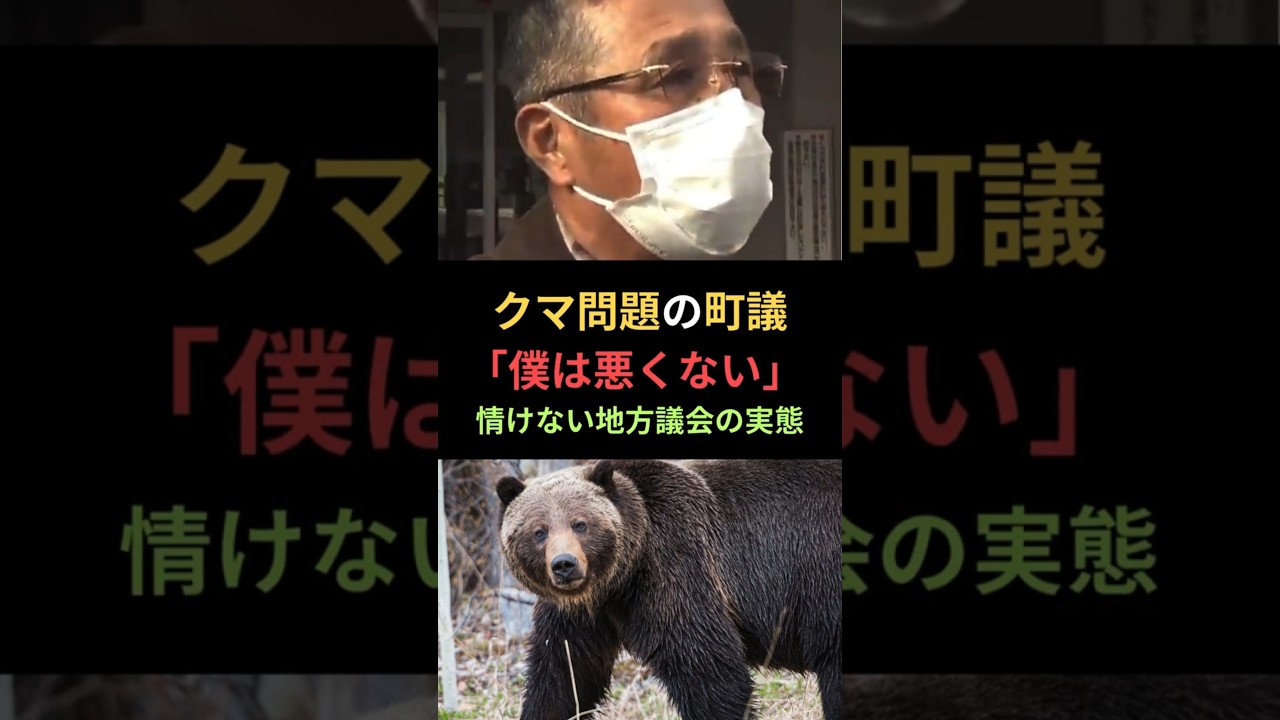 クマ問題の町議「僕は悪くない」 情けない地方議会の実態 #shorts