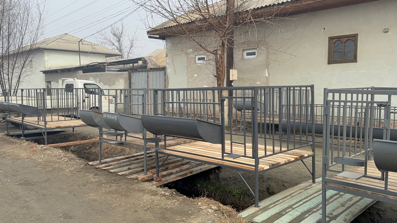 ZAMONAVIY QUY OXIRLARI SOTILADI  POLTAXTALI NAVESLI   QUYXONALAR 