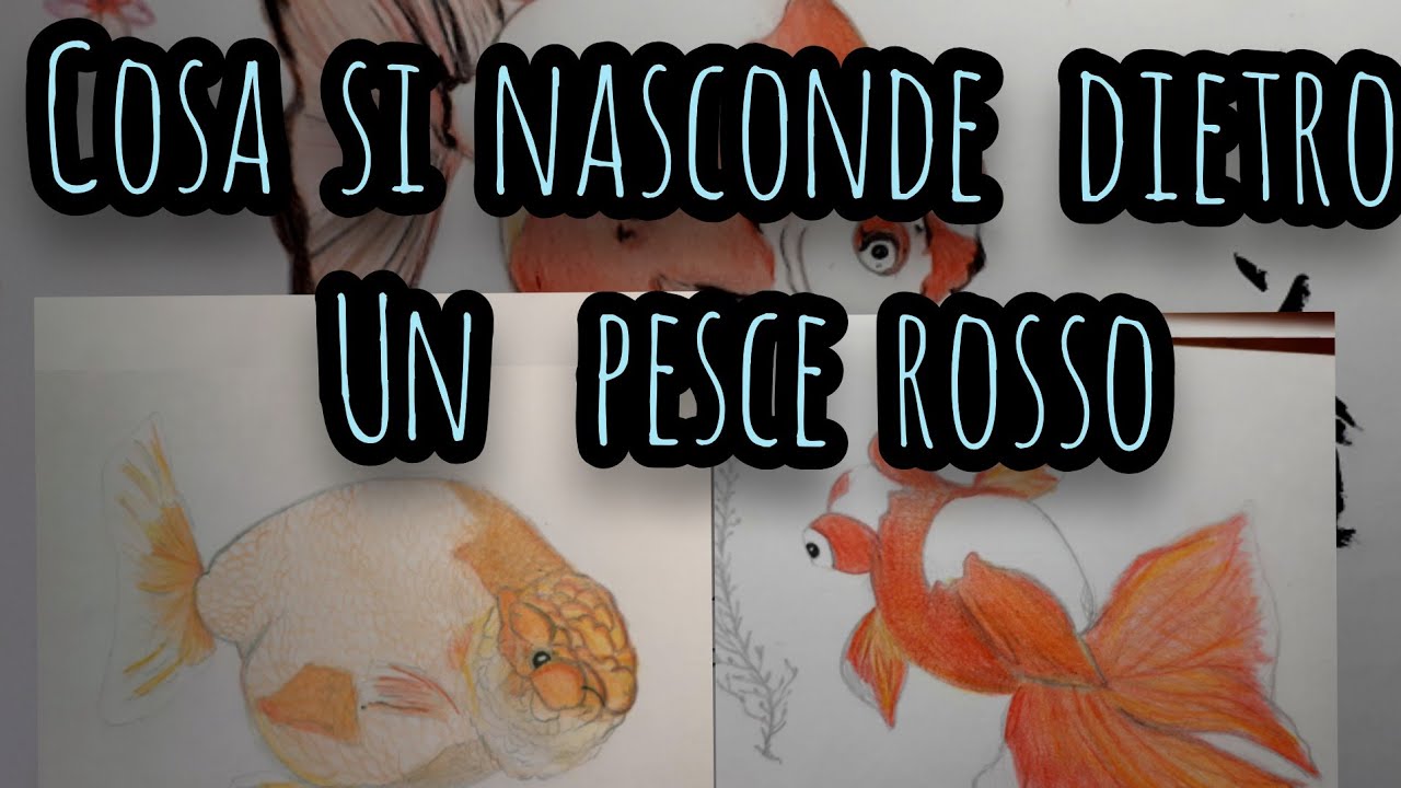 La seconda personalità dei pesci rossi, la goldfish art e i miei lavori