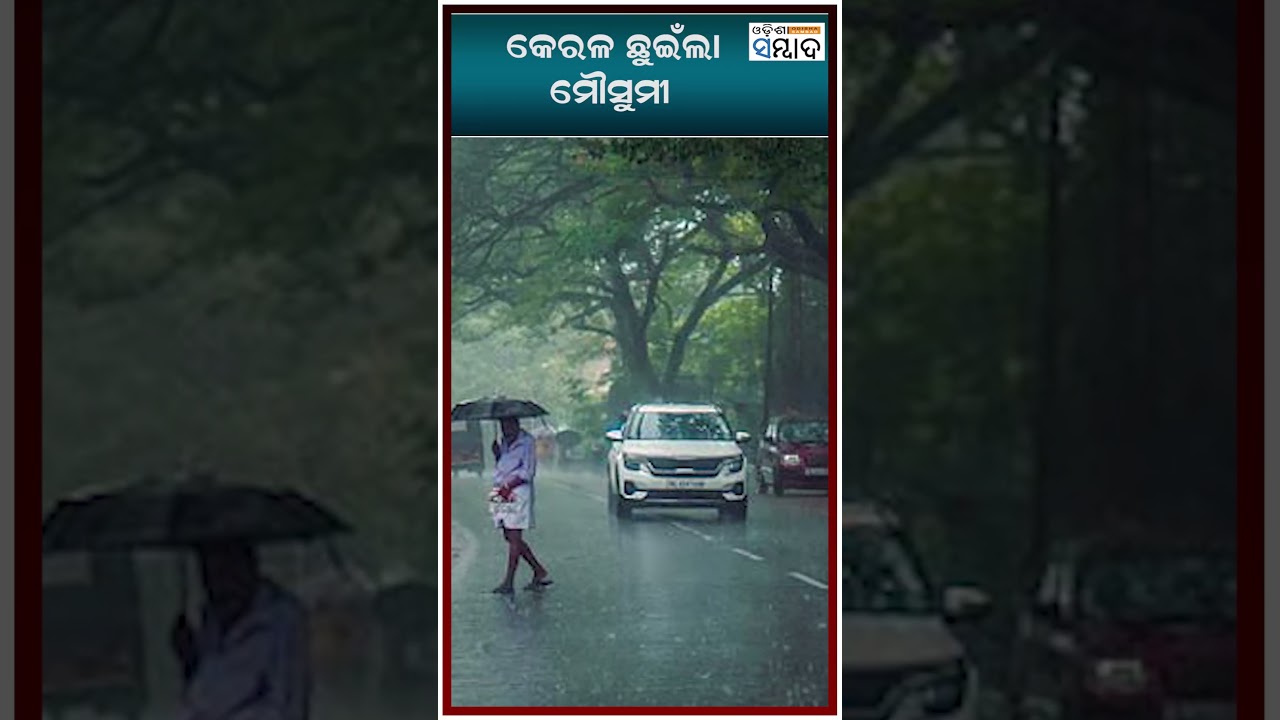 Муссон добрался до Кералы #kerala #monsoon2026 #дождь