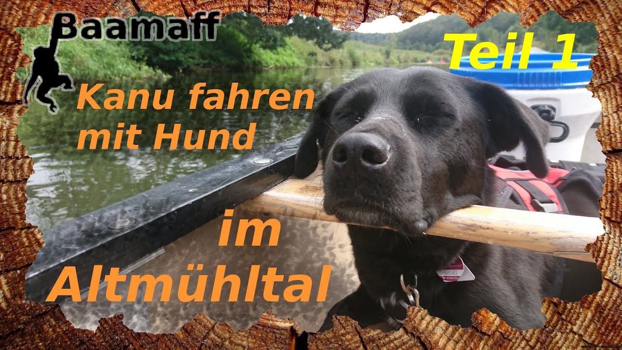 🐕‍HUND IM KANU🚣‍♂️ - 5 Tage mit dem Kanu auf der Altmühl - Teil 1🐒