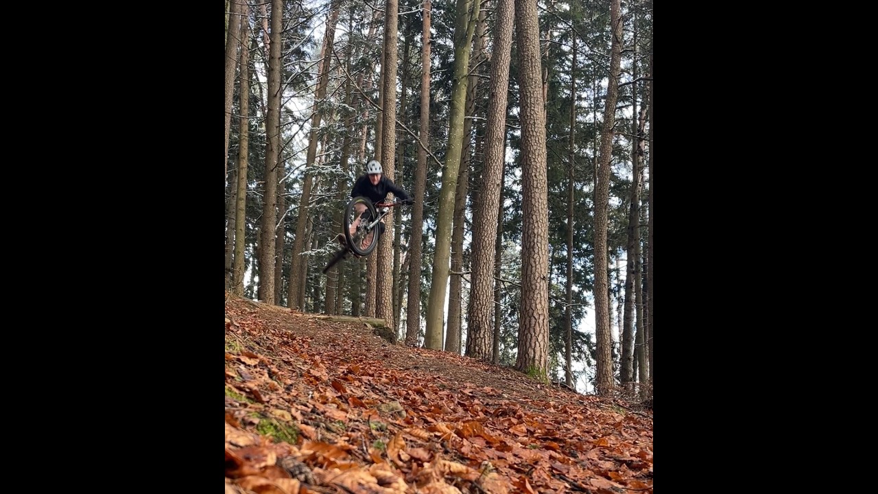 Bodnegg trails