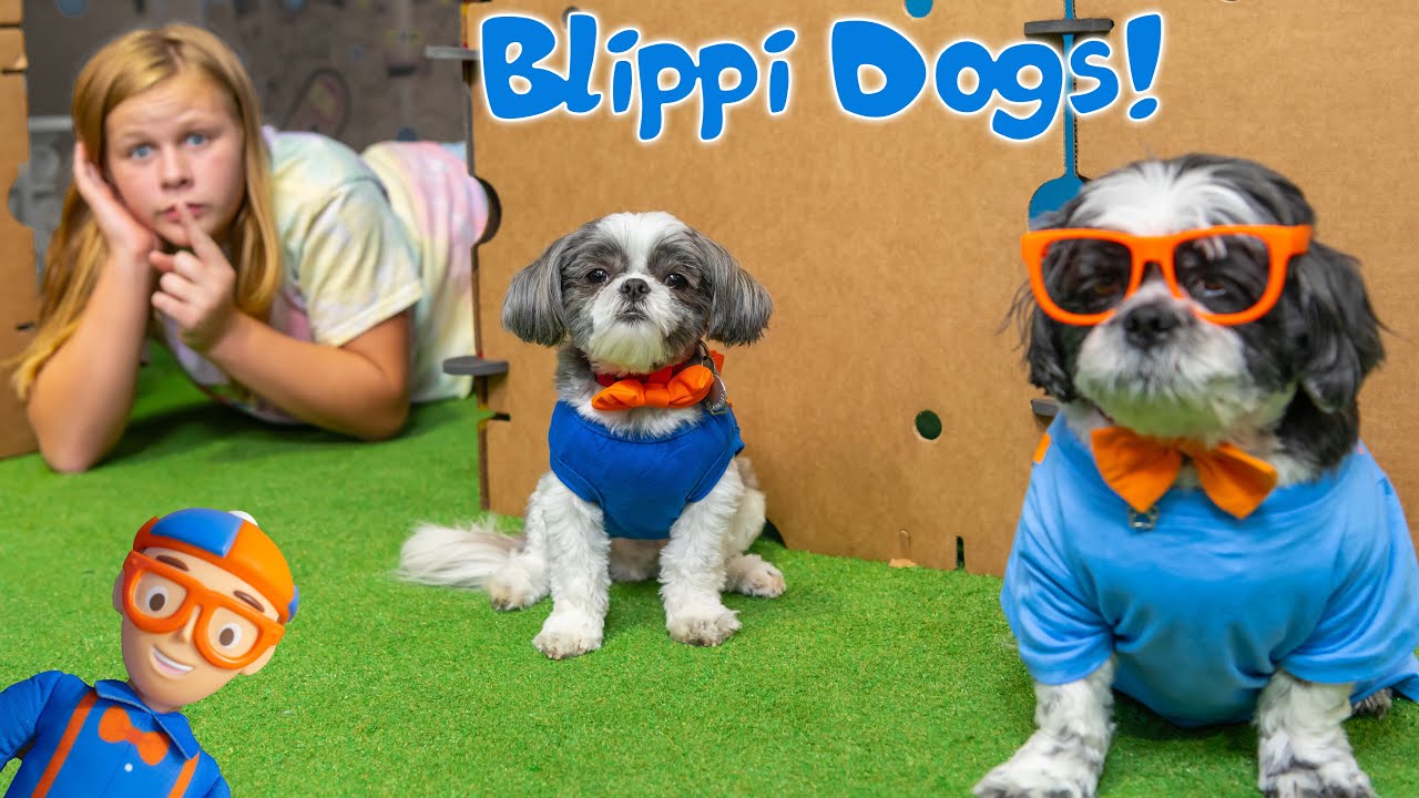 Assistant and Blippi Dogs Wiggles and Waggles Play Hide N Seek