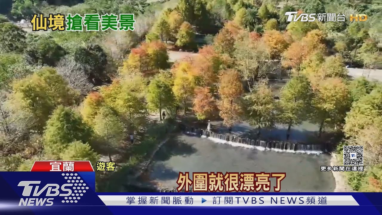 落羽松秘境重啟「三層坪」美景宛如仙境｜TVBS新聞 @TVBSNEWS01