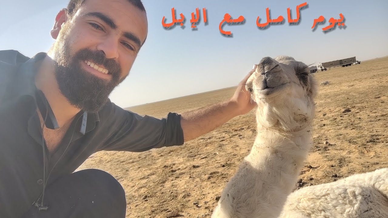 تجربة مع راعي الإبل (البعير) في وسط صحراء السعودية 