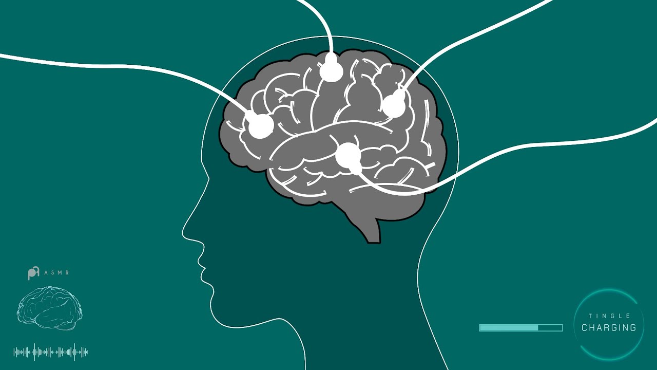 Вашему мозгу не хватает покалывания. 𝗔𝗦𝗠𝗥