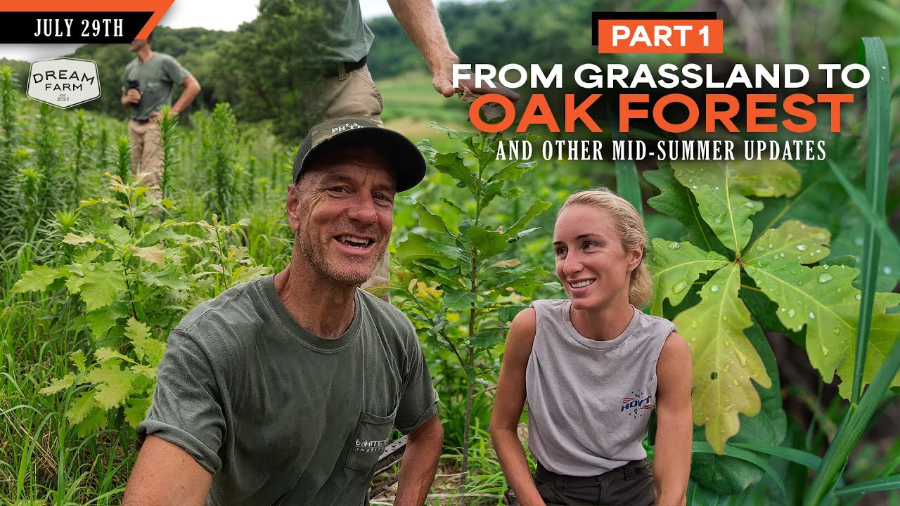 Turning Grassland into Oak Forest - Mid-Summer Update - What's Working | Dream Farm w/ Bill Winke