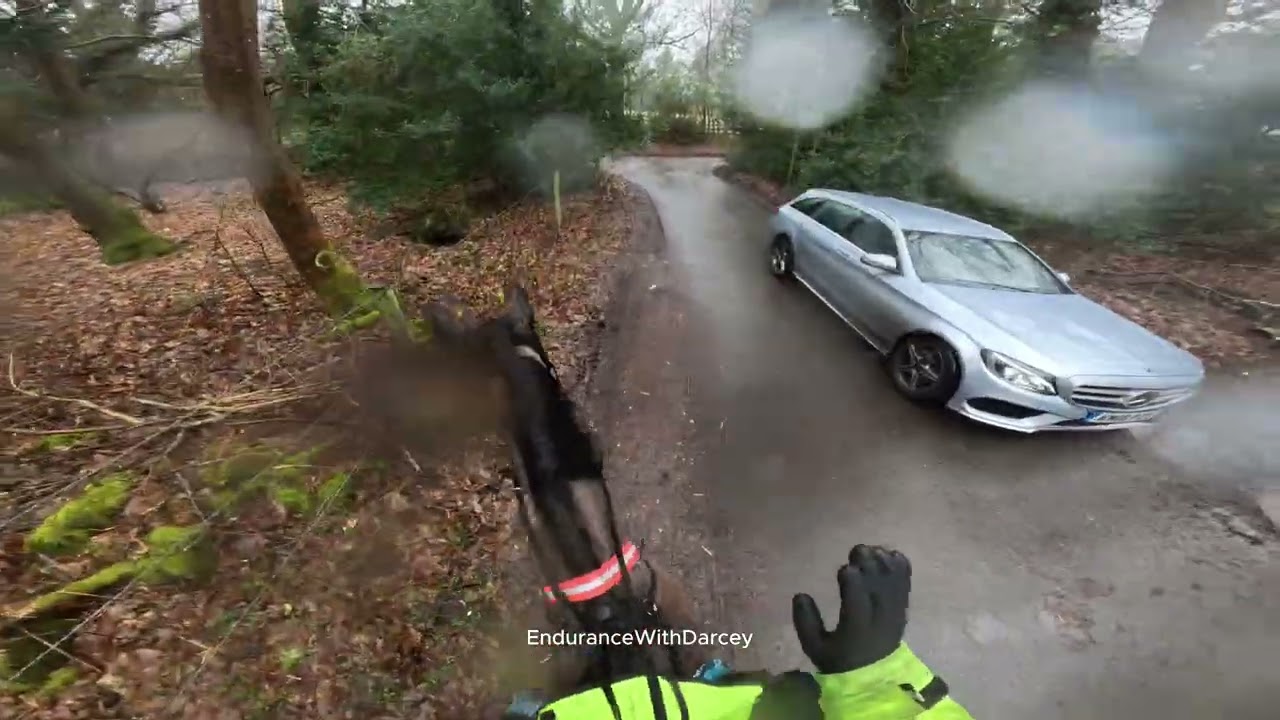 Trotting my horse Darcey home in the pouring rain.