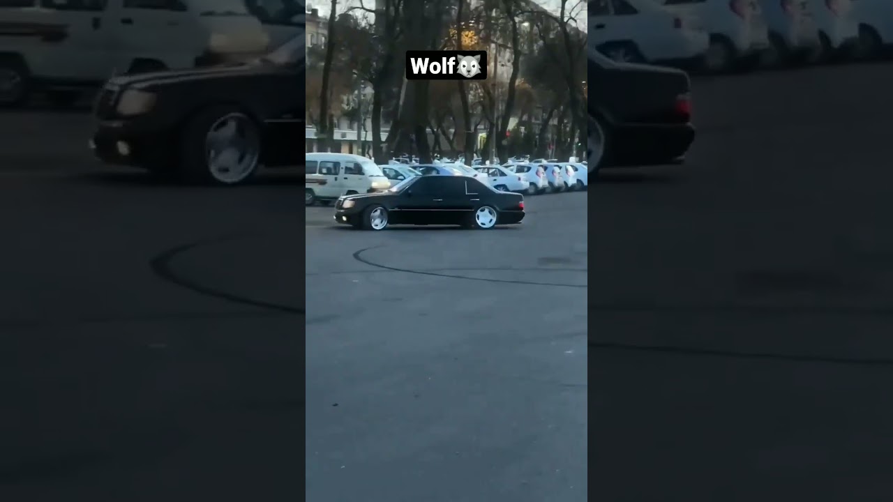 Mercedes-Benz e500 🐺 #mercedes #wolf #e500 #amg #germany #car #classic #sportcar #top #shorts