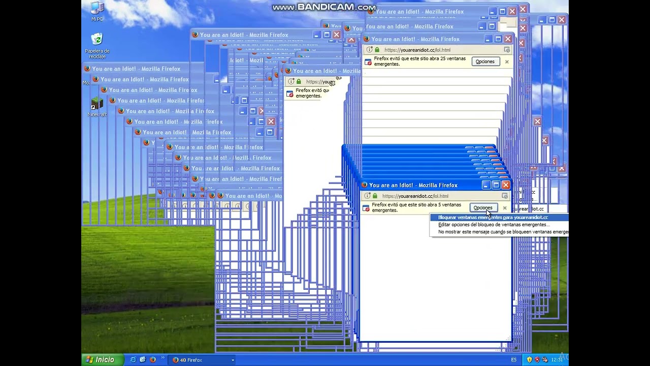 Destruyendo windows xp con You are an idiot virus