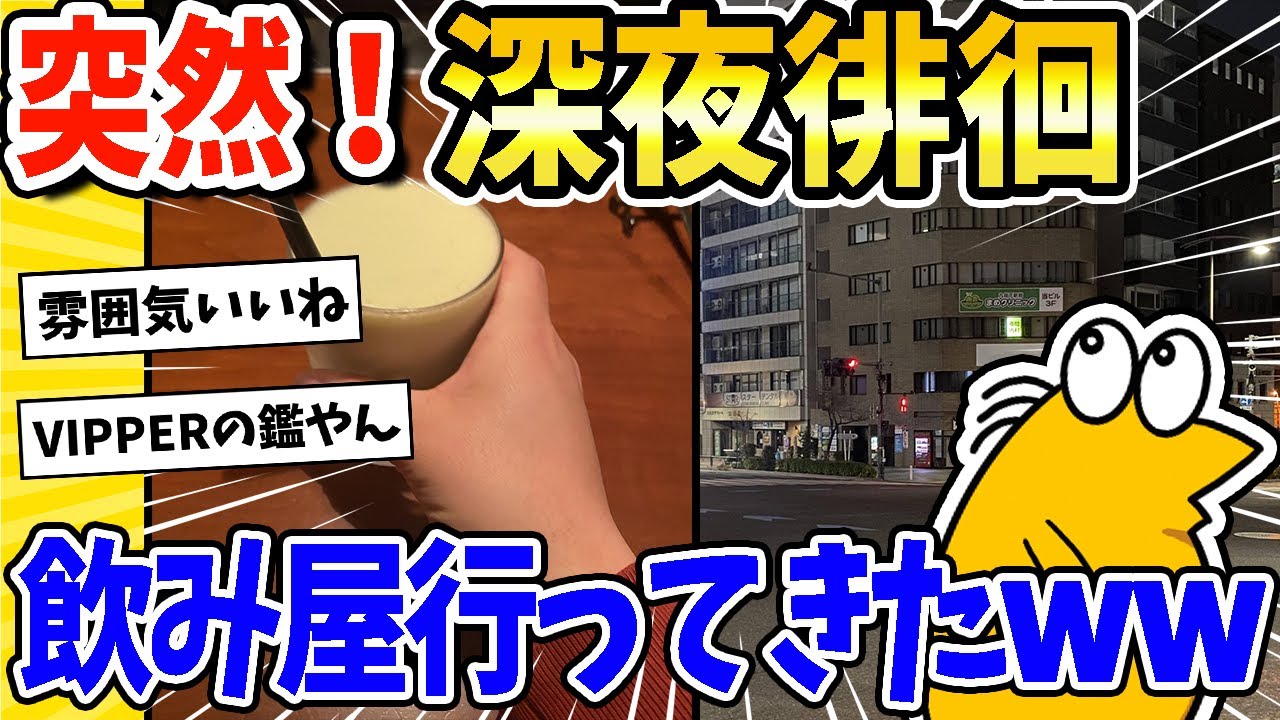 【2ch面白いスレ】深夜の日本橋でいきなり深夜徘徊www