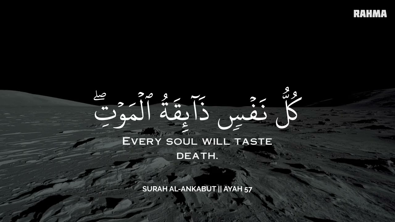أرح سمعك.. تلاوة هادئة تريح القلب والعقل💜😴 | ساعة كاملة🕛🎧 القارئ محمد هشام | Mohamed Hesham
