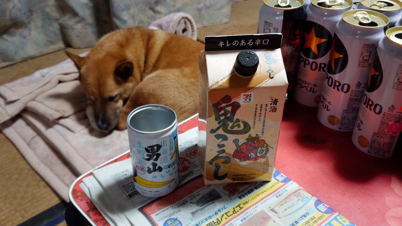 ララ子と晩酌。