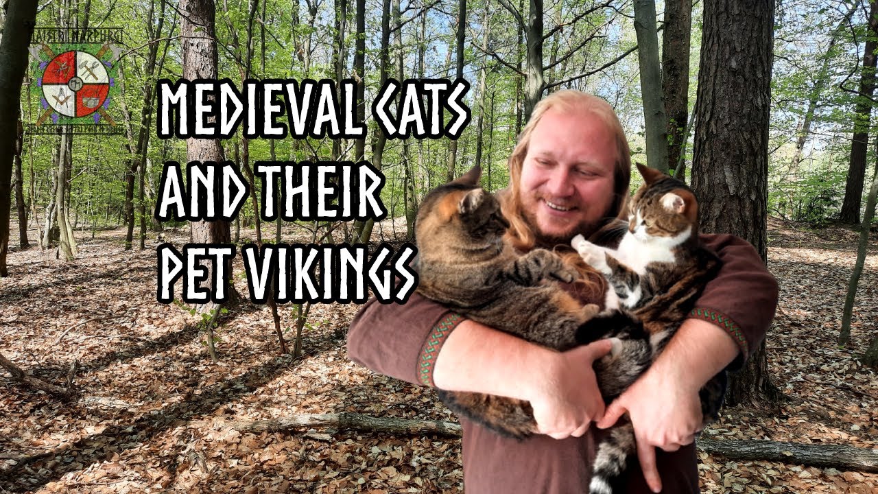 Medieval cats 🐈 and their pet Vikings ⚔️ | Maistri Marpurgi