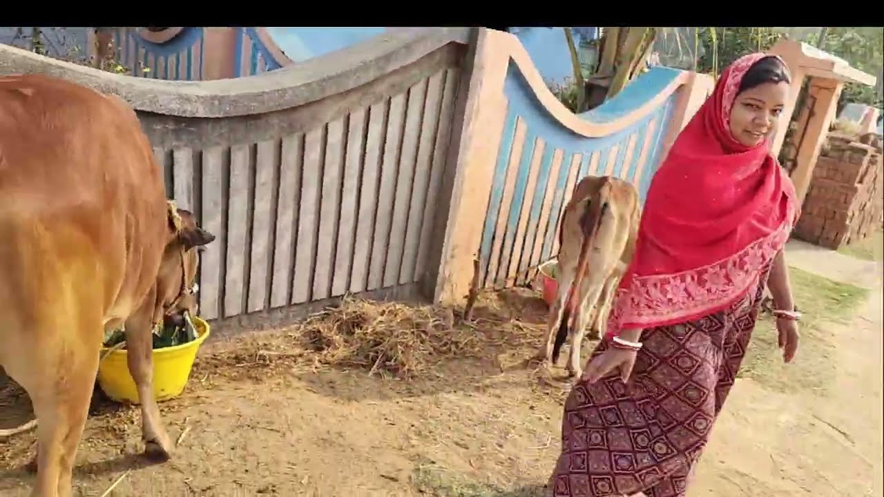 “आलू की बारी में रोमांचक सफर 🥔✨ | खेत से ताज़े आलू लाने की मज़ेदार vlog 🚜🌾”“Exciting Journey 👍🤞🤞