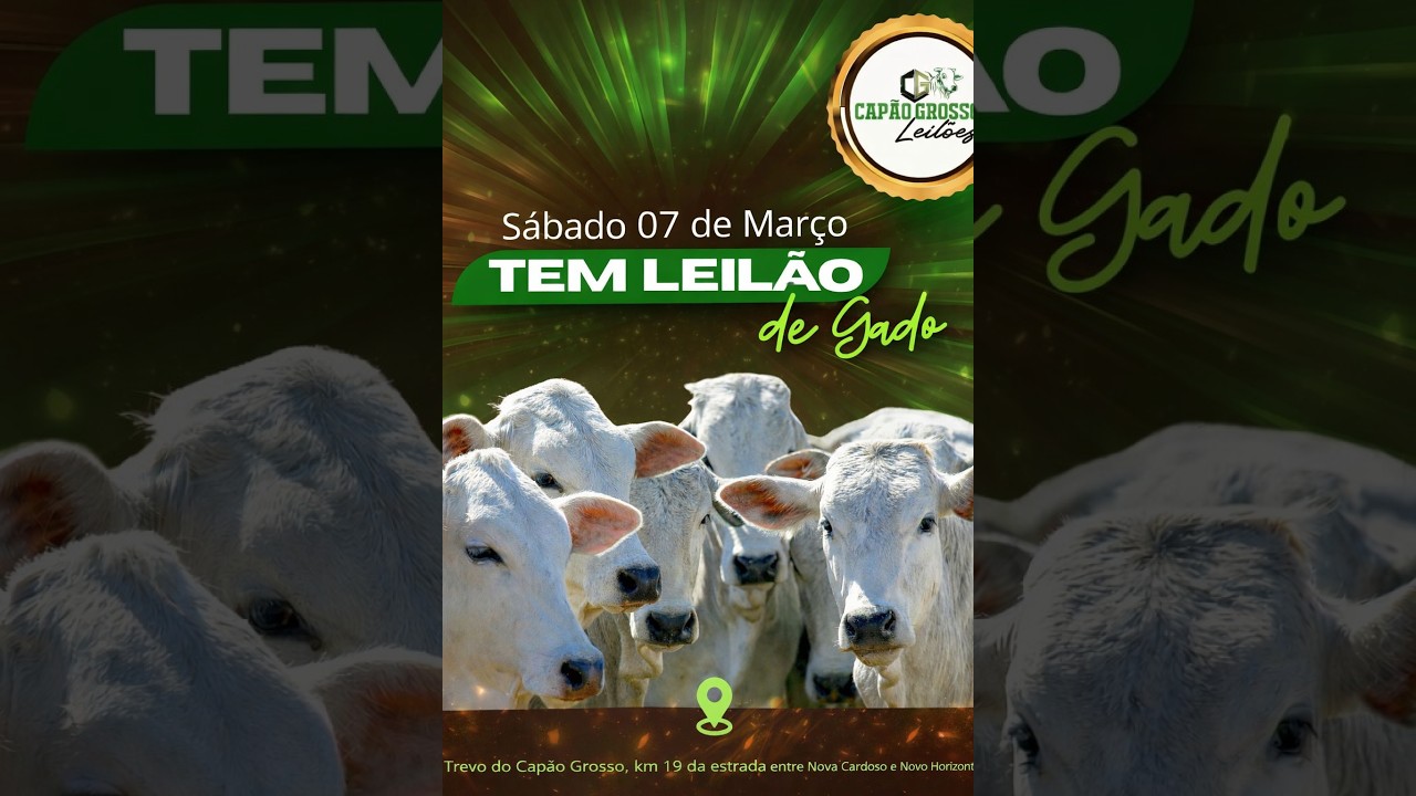 Capão Grosso Leilões - AO VIVO - 07/03/2026