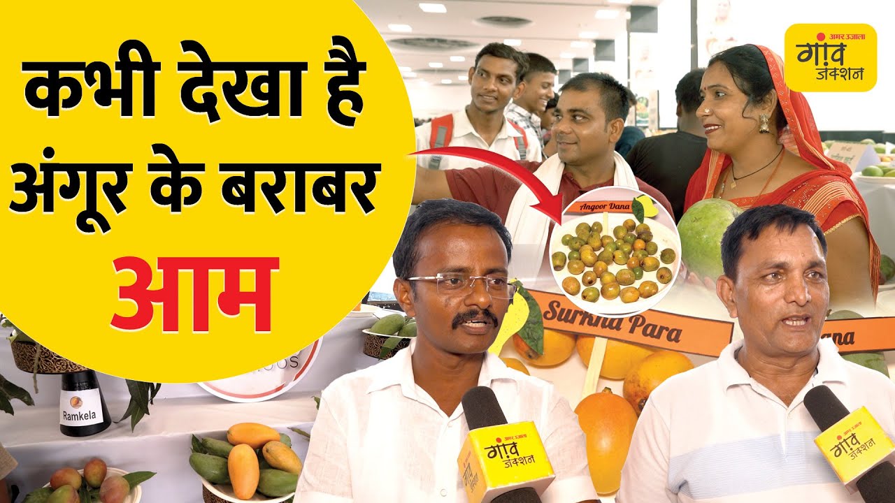Mango festival: आम की 800 किस्मों से महक रहा लखनऊ, Variety कर देगी हैरान ! | @gaonjunctionofficial