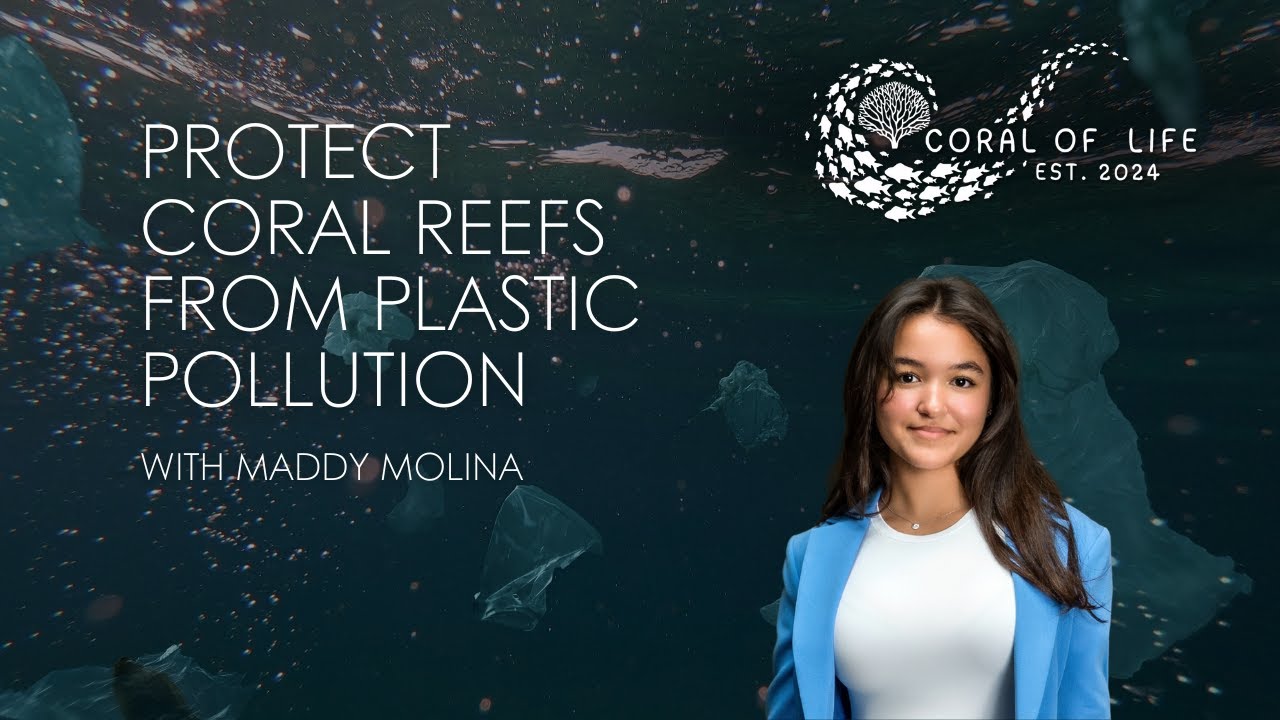Protect Coral Reefs From Plastic Pollution | With Maddy Molina
